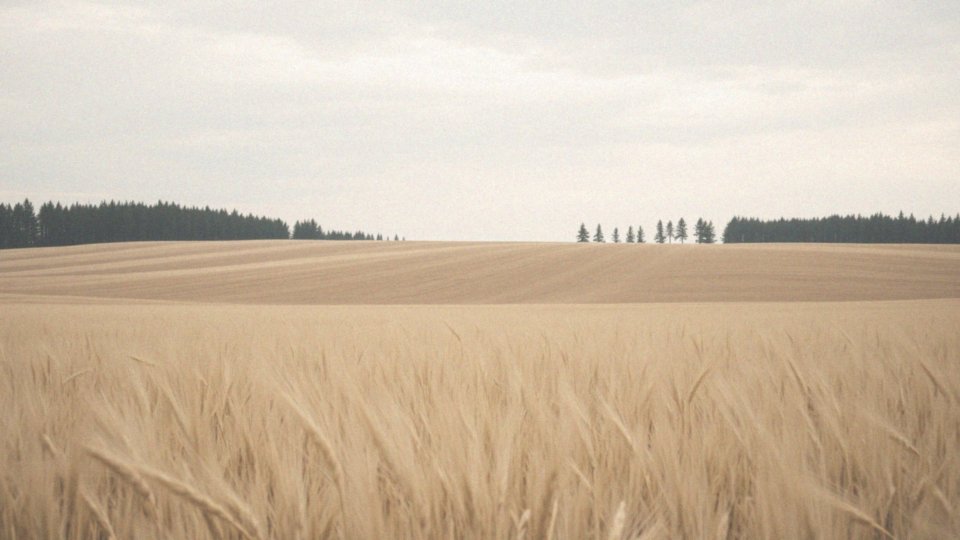 Uczucie duszności w klatce piersiowej – przyczyny i metody radzenia sobie